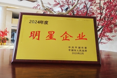 新春新景新氣象 | 景興紙業在平湖三干大會上喜摘榮譽！